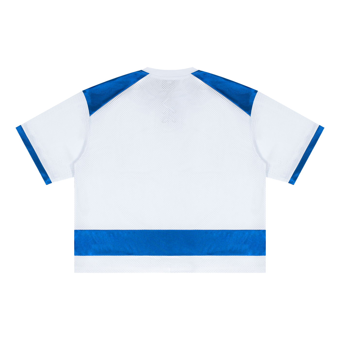 Raglan Sleeve Mesh Boxy T-Shirt