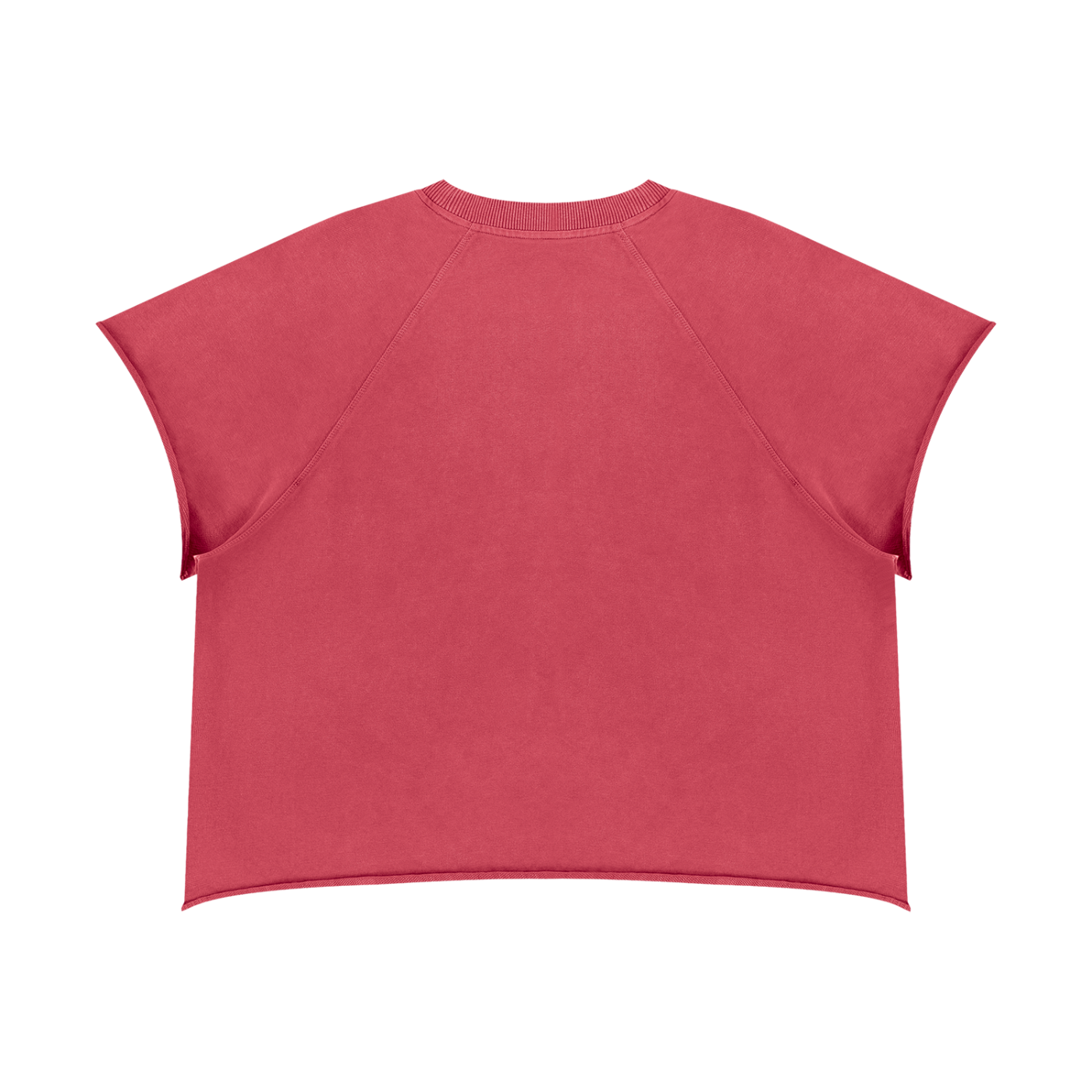 Vintage Wash Raw Edge T-Shirt